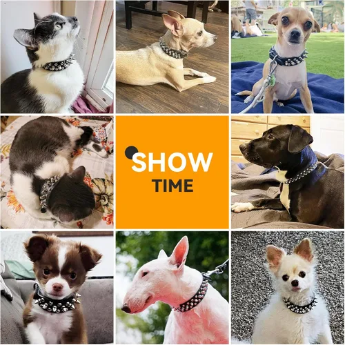 Miniatura 4 de PETCARE Collar de Perro con Pinchos Negro de Cuero PU Suave con Hongos Divertidos Remaches y Tachuelas Collar de Cachorro Ajustable para Exteriores