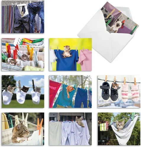 Miniatura 11 de The Best Card Company - 10 tarjetas de gato en blanco para todas las ocasiones (4 x 5.12 pulgadas) - Lindo juego de tarjetas a granel surtido - Cat