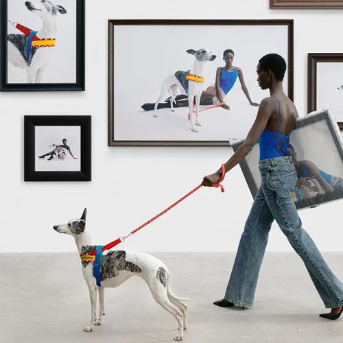 Miniatura 7 de VETRESKA MoMA Arnés para Perro para Perros Medianos y Grandes, Conjunto de Arnés y Correa Easy Walk para Perro, Arnés Tipo Chaleco Sin Tirones