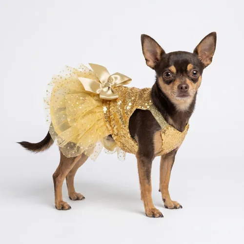 Miniatura 5 de Fitwarm Vestido tutú para perro con lentejuelas brillantes, traje de Navidad de lujo para perros pequeños y niñas, ropa para mascotas, color dorado