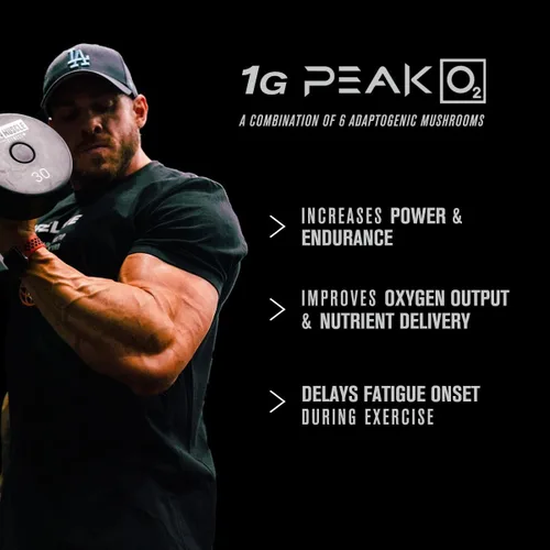 Miniatura 2 de Jacked Factory Build-XT Daily Muscle Builder & Performance Enhancer - Suplemento de construcción muscular para fuerza muscular y crecimiento