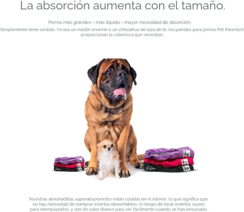 Miniatura 4 de Pet Parents - Pañales lavables para perros (3 unidades), pañales duraderos y de alta calidad, para hembras (grande, Princess)
