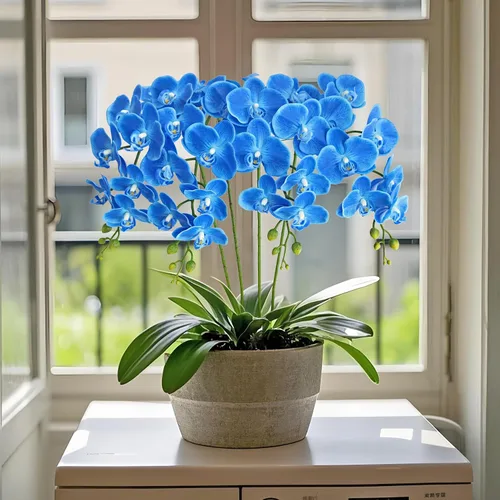 Miniatura 4 de Htmeing Flores artificiales de Phalaenopsis de 38 pulgadas, ramas de tacto real (no seda), flores de orquídeas para decoración de hogar, oficina