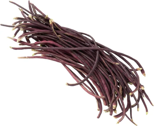 Miniatura 6 de Purple Yard - Semillas de frijol largo, más de 85 semillas, semillas de frijoles largos asiáticos, semillas de frijoles de espárragos, Phaseolus