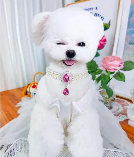 Miniatura 2 de Collar de perlas de 2 filas para gatos, collar de perlas para perros, collares de diamantes de imitación para perros pequeños, accesorios de collar