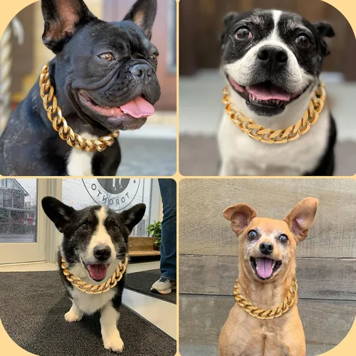 Miniatura 5 de BAOBOTE Collar de perro de acero inoxidable dorado de 0.59 pulgadas con cadena de eslabones cubanos resistente a prueba de mordidas, collar