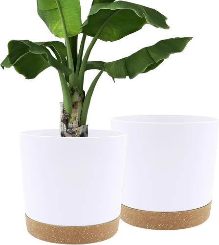 Miniatura 26 de QCQHDU Maceta de 8 pulgadas, paquete de 2 macetas para plantas de interior con agujeros de drenaje y platillo, macetas para exteriores, decoración