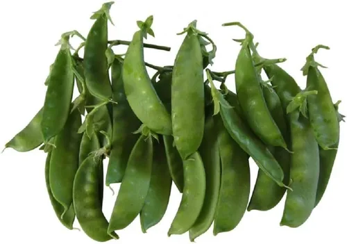 Semillas de guisantes de nieve Oregon, paquete de 100 semillas, sin OMG, de mejor sabor, guisantes de nieve más vigorosos. Úselos para recetas
