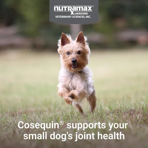 Miniatura 3 de Cosequin Minis - Masticables blandos de máxima fuerza con MSM Plus Omega3, 45