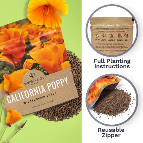 Miniatura 5 de Semillas de flores silvestres de amapola naranja de California, paquete a granel de 1 onza, más de 20,000 semillas nativas, flor del estado