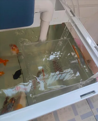 Miniatura 5 de AWXZOM Caja de cría de peces acrílico, caja de aislamiento de peces acrílico, separador de peces para acuario, incubadora de vivero con ventosas