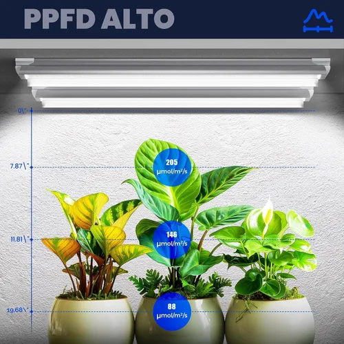 Miniatura 2 de Barrina Luces de Crecimiento, Lámparas de Crecimiento de Plantas de Espectro Completo Blancas de 2FT 5000K, 144W (6 x 24W, Equivalente a 800W)