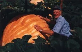 Eneldos De Calabaza Atlantic Giant 100 Semillas