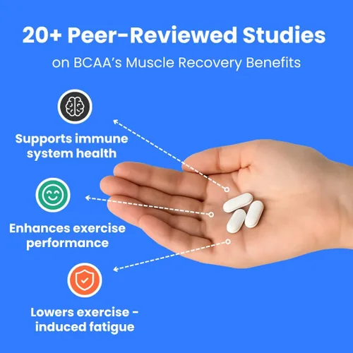 Miniatura 4 de Crazy Muscle Pastillas BCAA con la proporción perfecta 2:1:1 de aminoácidos de cadena ramificada suplemento – 1000 mg de BCAA por píldora