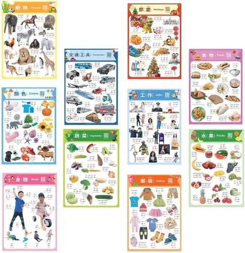 Miniatura 9 de N/A/ Juego de 10 carteles de aprendizaje chino para niños. Inspirado en Montessori. Bilingüe con chino simplificado, inglés y pinyin.