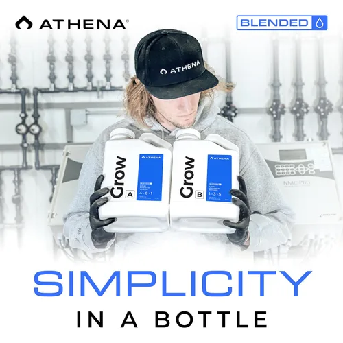 Miniatura 7 de Athena Blended Grow B Fertilizante líquido vegetativo para hidroponía y suelo Alimento vegetal para crecimiento en etapa vegetal NPK 1-3-5 1