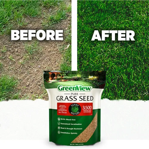 Miniatura 5 de GreenView Pure Grass Seed Sunny Mixture, bolsa de 20 libras. Cubre hasta 10,000 pies cuadrados.