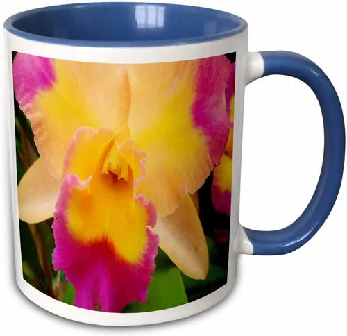 Miniatura 10 de 3dRose Florene Flores – Gorgeous Orquídea – Tazas, Negro/Blanco