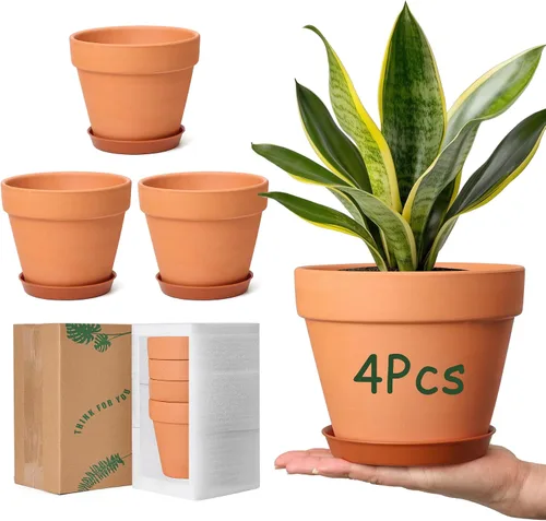 Miniatura 9 de T4U Mini macetas de terracota (36 piezas): macetas pequeñas de arcilla de 2 pulgadas con orificios de drenaje, ideales para plantas de cactus