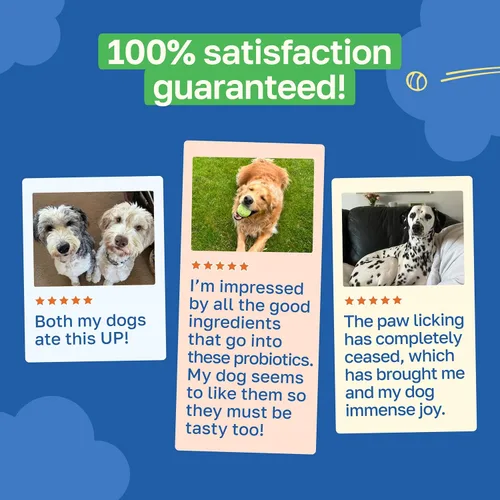 Miniatura 5 de Happy Paws Apoyo probiótico para la salud intestinal para perros, masticables suaves con probióticos, semillas de calabaza, batata, hinojo, aceite