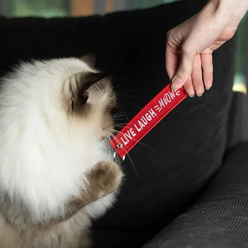 Miniatura 2 de Llavero de gato para llaves de coche, llaves de casa, amantes de mascotas y regalos