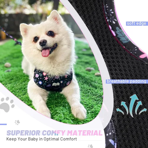 Miniatura 2 de QQPETS Arnés para perro con correa y soporte para bolsa de excrementos, juego de 4 piezas, ajustable sin tirones, chaleco acolchado de malla suave