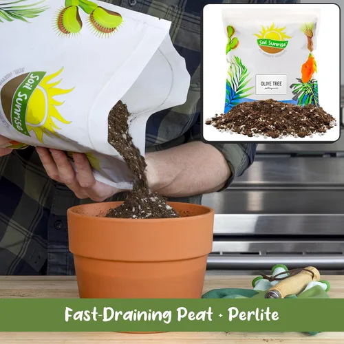 Miniatura 4 de Soil Sunrise Mezcla de tierra para macetas de olivo (12 cuartos de galón) para plantar, trasplantar y cultivar arbustos/plantas de olivo