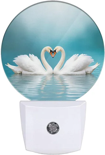 Miniatura 31 de EKOBLA Monarch - Luz nocturna de mariposa enchufable, luz nocturna LED de mariposa con sensor automático del atardecer al amanecer para dormitorio