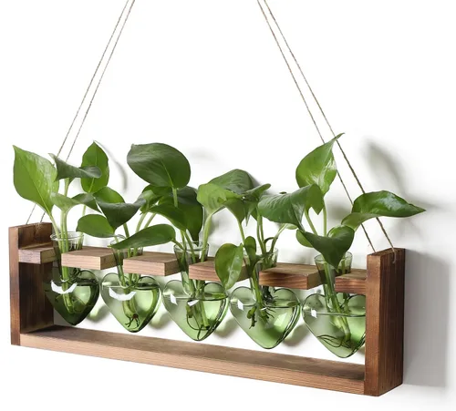 Miniatura 12 de Estaciones de propagación colgantes de terrario para plantas, regalo para mujeres, soporte para plantas de aire con soporte de madera, cristal