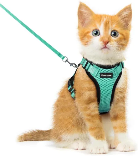 Miniatura 16 de Dooradar Juego de arnés y correa para gato, chaleco ajustable seguro a prueba de escapes, para caminar, chaqueta de malla suave y transpirable