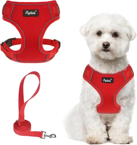 Miniatura 11 de PUPTECK Juego de arnés y correa para perro pequeño, arnés ajustable sin tirones para cachorro, chaleco de malla suave reflectante para mascotas