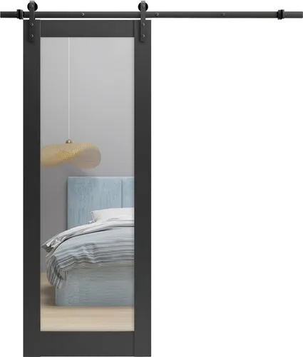 Miniatura 10 de SARTODOORS Puerta de granero resistente de 30 x 96 pulgadas Lucia 1299 seda blanca con espejo Juego pesado de perchas de acero inoxidable de 6.6