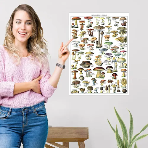 Miniatura 5 de Póster de hongos vintage impresos, tabla de referencia de identificación botánica de micología y hongos, volumen 1 y 2 (laminado, 18 x 24 pulgadas)