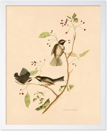 Miniatura 24 de Poster Master Póster Vintage de Plantas Cultivadas - Impresión Botánica Retro - Arte de Flores - Arte de Plantas - Regalo para Hombres y Mujeres