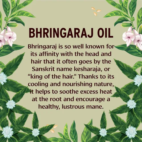 Miniatura 3 de Banyan Botanicals Aceite orgánico de Bhringaraj – Apoya el crecimiento saludable del cabello – Aceite hecho con métodos tradicionales – 8 onzas