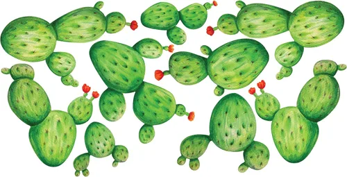 Miniatura 4 de Cactus Acuarela Kit de calcomanía decorativo para pared – Suculentas Mural por chromantics