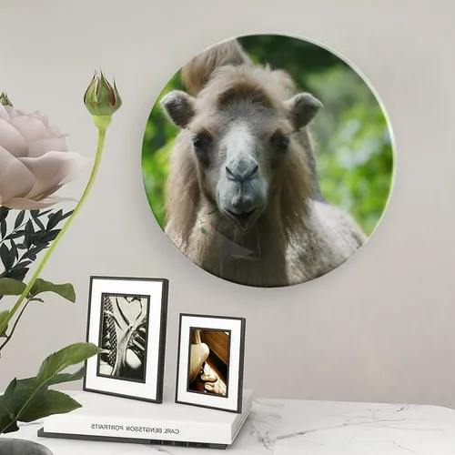 Miniatura 5 de Placa decorativa de animales de camello, placa decorativa de cerámica para pared, plato decorativo con soporte, placa redonda de exhibición