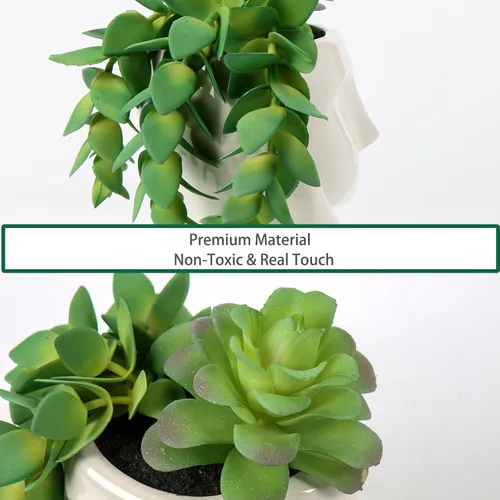 Miniatura 6 de Plantas suculentas falsas en macetas de cerámica, plantas falsas en macetas, plantas falsas de interior para oficina, escritorio, estante