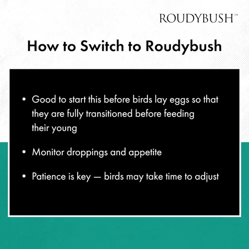 Miniatura 7 de RoudyBush Alimento bajo en grasa para pájaros y pollitos adultos, comida diaria para aves, pellets hechos con maíz, trigo y soja, pellets bajos