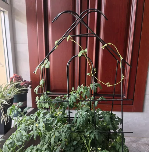 Miniatura 4 de ARIFARO Enrejado de metal de 24 pulgadas para plantas trepadoras, paquete de 4 enrejados para plantas en maceta, enrejado negro para interiores