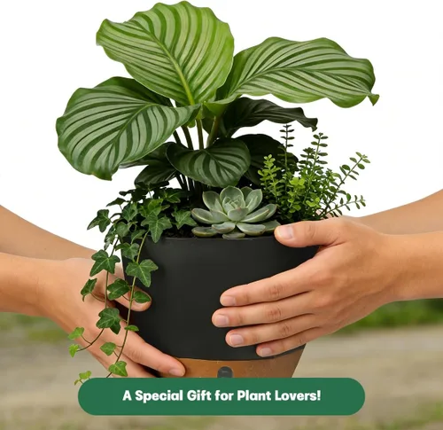 Miniatura 6 de Juego de 2 macetas colgantes de riego automático para plantas de interior, incluye maceta colgante para plantas, maceta colgante con orificio
