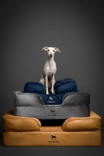 Miniatura 8 de NOAH & PAW Cama para perro, 28x23x7.5 pulgadas, camas ortopédicas para perros de tamaño mediano, espuma viscoelástica tipo cáscara de huevo Cuero