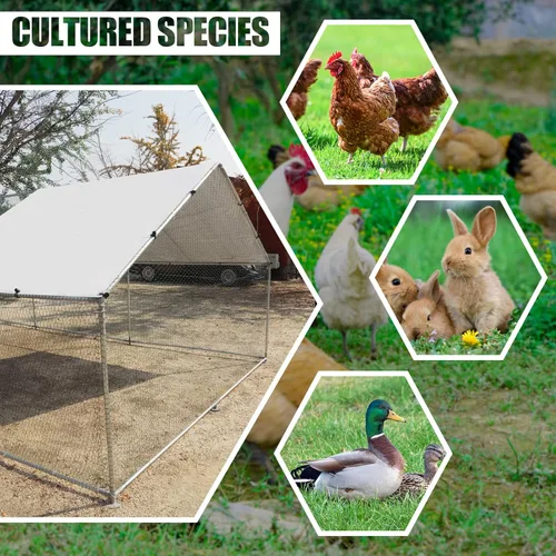 Miniatura 5 de NUGRIART Jaula grande de metal para gallinas, jaula de aves de corral, jaula para patos, casa con cubierta impermeable y anti-UV, galvanizada