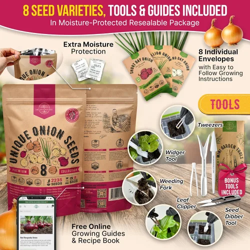 Miniatura 3 de Organo Republic Paquete variado de 8 semillas de cebolla reliquia, sin OGM, juegos para jardinería en interiores y exteriores. Más de 2200 semillas