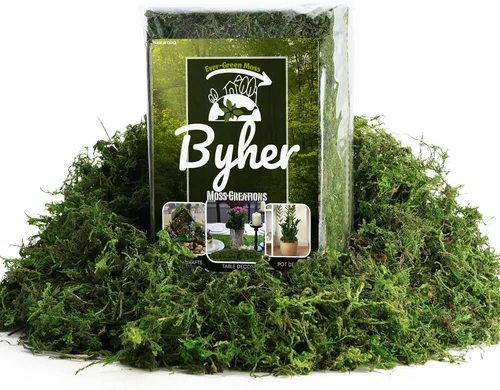 BYHER Musgo artificial a granel de 16 onzas para plantas de interior, musgo verde realista para manualidades, decoración de jardín de hadas, plantas