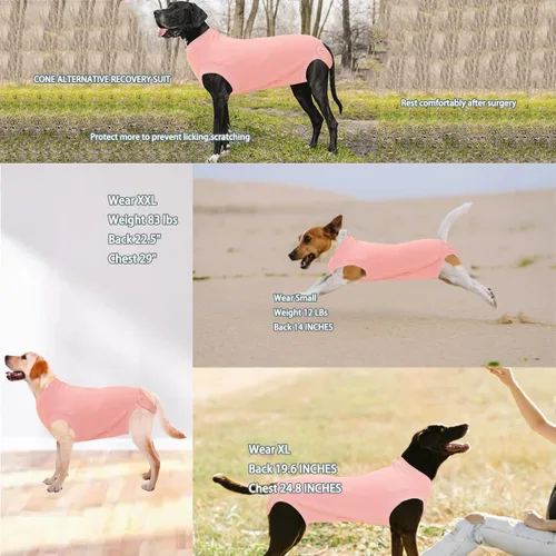 Miniatura 3 de Traje de Recuperación Wabdhaly para Perros, Traje de Cone de Perro con Cremallera Alternativa para Cirugía de Esterilización Femenina, Traje