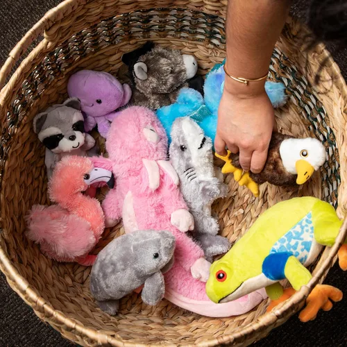 Miniatura 8 de The Petting Zoo - Peluche de águila calva, juguete de peluche, regalos para niños, colección Wild Onez Babiez Animales del Zoológico, juguete