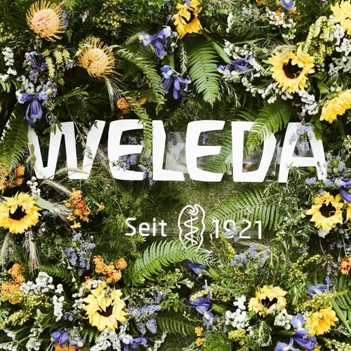 Miniatura 9 de Weleda Aceite de masaje muscular de árnica, 3.4 onzas líquidas, aceite de masaje rico en plantas con aceites de abedul, girasol y oliva