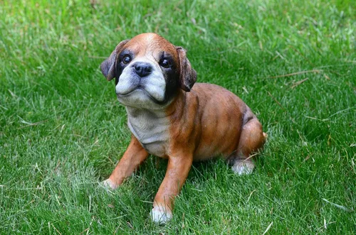 Miniatura 2 de Punch-Boxer Puppy M by Michael Carr Designs - Figura de perro cachorro para exteriores, para jardines, patios y césped (80108)
