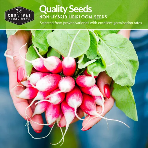 Miniatura 3 de Survival Garden Seeds Colección de semillas de raíz vegetal, paquete de 6: zanahoria Danvers, nabo superior, rábano francés, colinabo, rutabaga